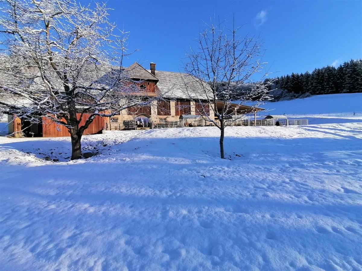 Staudachhof Appartement Althofen  Buitenkant foto