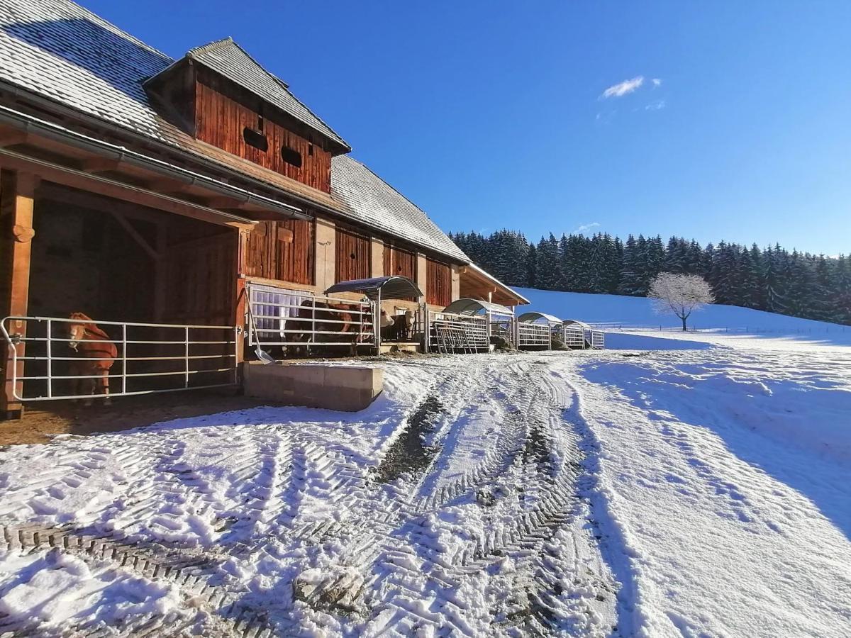 Staudachhof Appartement Althofen  Buitenkant foto