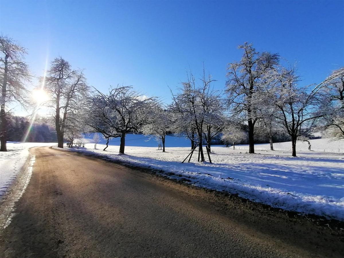 Staudachhof Appartement Althofen  Buitenkant foto