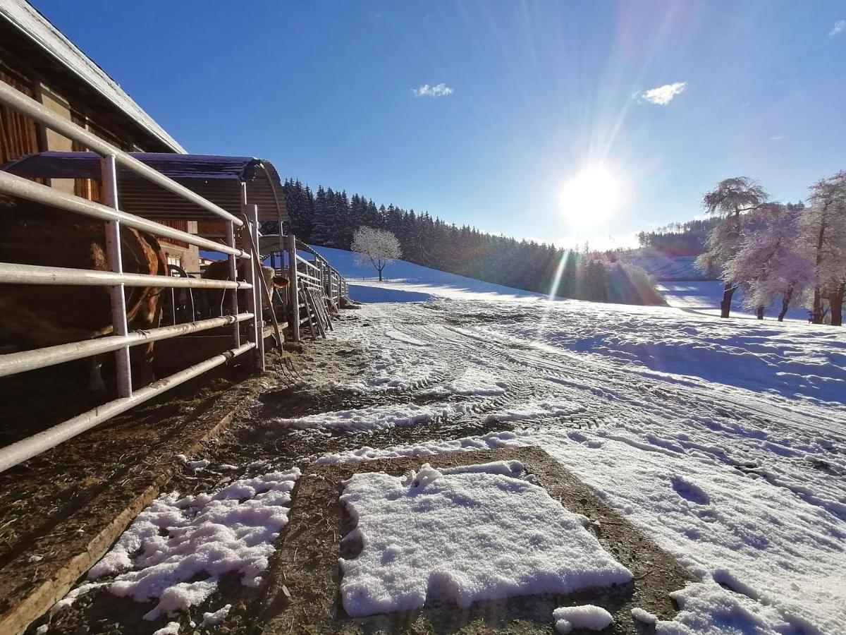 Staudachhof Appartement Althofen  Buitenkant foto